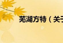 蕪湖方特（關(guān)于蕪湖方特的介紹）