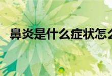 鼻炎是什么癥狀怎么治（鼻炎是什么癥狀）