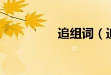 追組詞（追讀音及解釋）