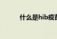 什么是hib疫苗（何謂hib疫苗）