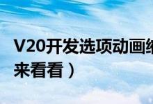 V20開發(fā)選項動畫縮放調(diào)到多少（不會調(diào)的人來看看）
