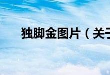 獨(dú)腳金圖片（關(guān)于獨(dú)腳金圖片的介紹）