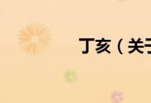 丁亥（關于丁亥的介紹）