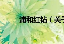 浦和紅鉆（關(guān)于浦和紅鉆的介紹）