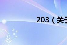 203（關(guān)于203的介紹）