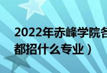 2022年赤峰學(xué)院各省招生計(jì)劃及招生人數(shù)（都招什么專業(yè)）
