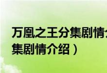 萬凰之王分集劇情介紹（電視劇萬凰之王1-5集劇情介紹）