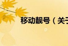 移動(dòng)靚號(hào)（關(guān)于移動(dòng)靚號(hào)的介紹）