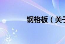 鋼格板（關于鋼格板的介紹）