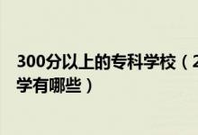 300分以上的專科學(xué)校（2022高考300分左右的公辦?？拼髮W(xué)有哪些）
