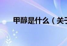 甲醇是什么（關于甲醇是什么的介紹）