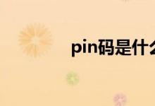 pin碼是什么（pin碼介紹）