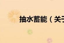 抽水蓄能（關(guān)于抽水蓄能的介紹）