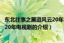 東北往事之黑道風云20年電視劇（關(guān)于東北往事之黑道風云20年電視劇的介紹）