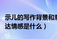 示兒的寫作背景和意思（示兒的寫作背景和表達情感是什么）
