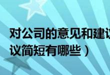 對公司的意見和建議簡短（對公司的意見和建議簡短有哪些）