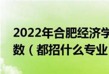 2022年合肥經(jīng)濟(jì)學(xué)院各省招生計(jì)劃及招生人數(shù)（都招什么專業(yè)）