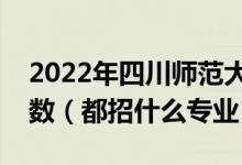 2022年四川師范大學(xué)各省招生計劃及招生人數(shù)（都招什么專業(yè)）