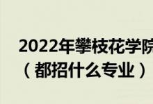 2022年攀枝花學(xué)院各省招生計(jì)劃及招生人數(shù)（都招什么專業(yè)）