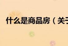 什么是商品房（關(guān)于什么是商品房的介紹）