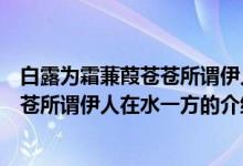 白露為霜蒹葭蒼蒼所謂伊人在水一方（關于白露為霜蒹葭蒼蒼所謂伊人在水一方的介紹）