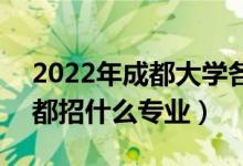 2022年成都大學(xué)各省招生計劃及招生人數(shù)（都招什么專業(yè)）