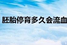 胚胎停育多久會(huì)流血（胚胎停育多久會(huì)流血）