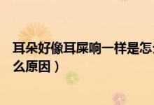 耳朵好像耳屎響一樣是怎么回事（耳朵好像耳屎一晃就響什么原因）