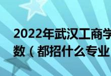 2022年武漢工商學(xué)院各省招生計(jì)劃及招生人數(shù)（都招什么專業(yè)）