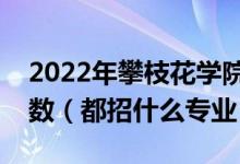 2022年攀枝花學(xué)院在江蘇招生計劃及招生人數(shù)（都招什么專業(yè)）