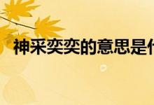 神采奕奕的意思是什么（神采奕奕的釋義）