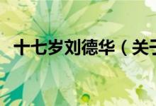 十七歲劉德華（關于十七歲劉德華的介紹）