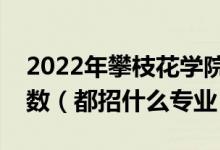2022年攀枝花學(xué)院在山東招生計劃及招生人數(shù)（都招什么專業(yè)）
