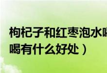 枸杞子和紅棗泡水喝的功效（枸杞和紅棗泡水喝有什么好處）
