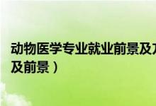 動(dòng)物醫(yī)學(xué)專業(yè)就業(yè)前景及方向（2022動(dòng)物醫(yī)學(xué)專業(yè)就業(yè)方向及前景）