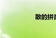 散的拼音（散組詞）