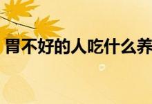 胃不好的人吃什么養(yǎng)胃（哪些食物能養(yǎng)胃呢）