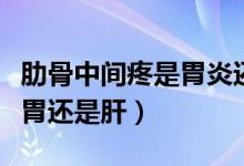 肋骨中間疼是胃炎還是膽囊炎（肋骨中間疼是胃還是肝）