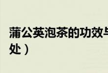 蒲公英泡茶的功效與作用（蒲公英泡水喝的好處）