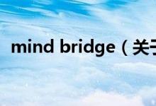 mind bridge（關(guān)于mind bridge的介紹）