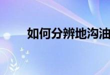 如何分辨地溝油（怎么分辨地溝油）