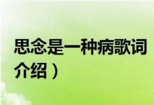 思念是一種病歌詞（關(guān)于思念是一種病歌詞的介紹）