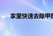 家里快速去除甲醛（這些方法都可以）
