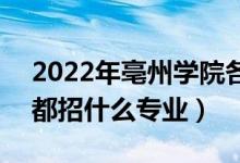 2022年亳州學(xué)院各省招生計劃及招生人數(shù)（都招什么專業(yè)）