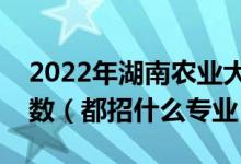 2022年湖南農(nóng)業(yè)大學(xué)各省招生計(jì)劃及招生人數(shù)（都招什么專業(yè)）