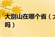 大別山在哪個(gè)省（大別山區(qū)是我國的革命老區(qū)嗎）