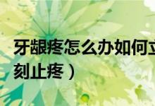 牙齦疼怎么辦如何立刻止疼（牙齦疼怎么辦立刻止疼）