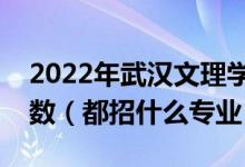 2022年武漢文理學院各省招生計劃及招生人數(shù)（都招什么專業(yè)）