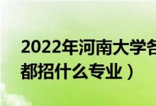 2022年河南大學(xué)各省招生計劃及招生人數(shù)（都招什么專業(yè)）