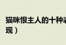 貓咪恨主人的十種表現(xiàn)（貓咪恨主人有哪些表現(xiàn)）